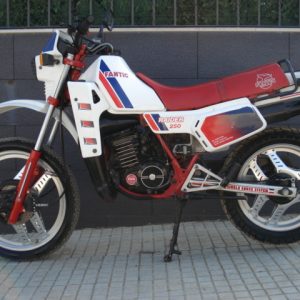 FANTIC RAIDER 250 TRAIL DE 2 TIEMPOS