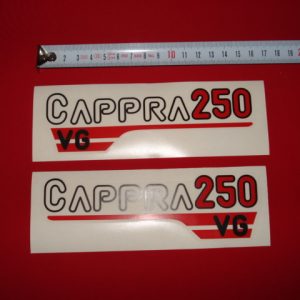 ADHESIVOS MONTESA CAPPRA 250 VG