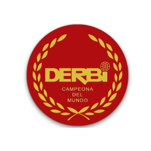 RECAMBIO DERBI
